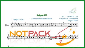 نت فلوت اما نمیشه از معین