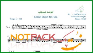 نت فلوت خودت میدونی عزیزی امید