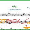 نت فلوت بی قرار از ویگن