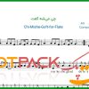 نت فلوت چی میشه گفت از داریوش