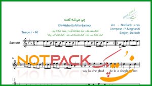 نت سنتور چی میشه گفت از داریوش