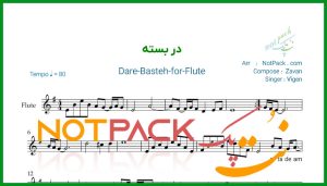 نت فلوت در بسته از ویگن