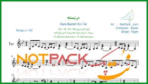 نت تار در بسته از ویگن