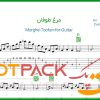 نت گیتار مرغ طوفان از ویگن