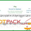 نت سنتور روناک از بیژن مرتضوی/Ronak